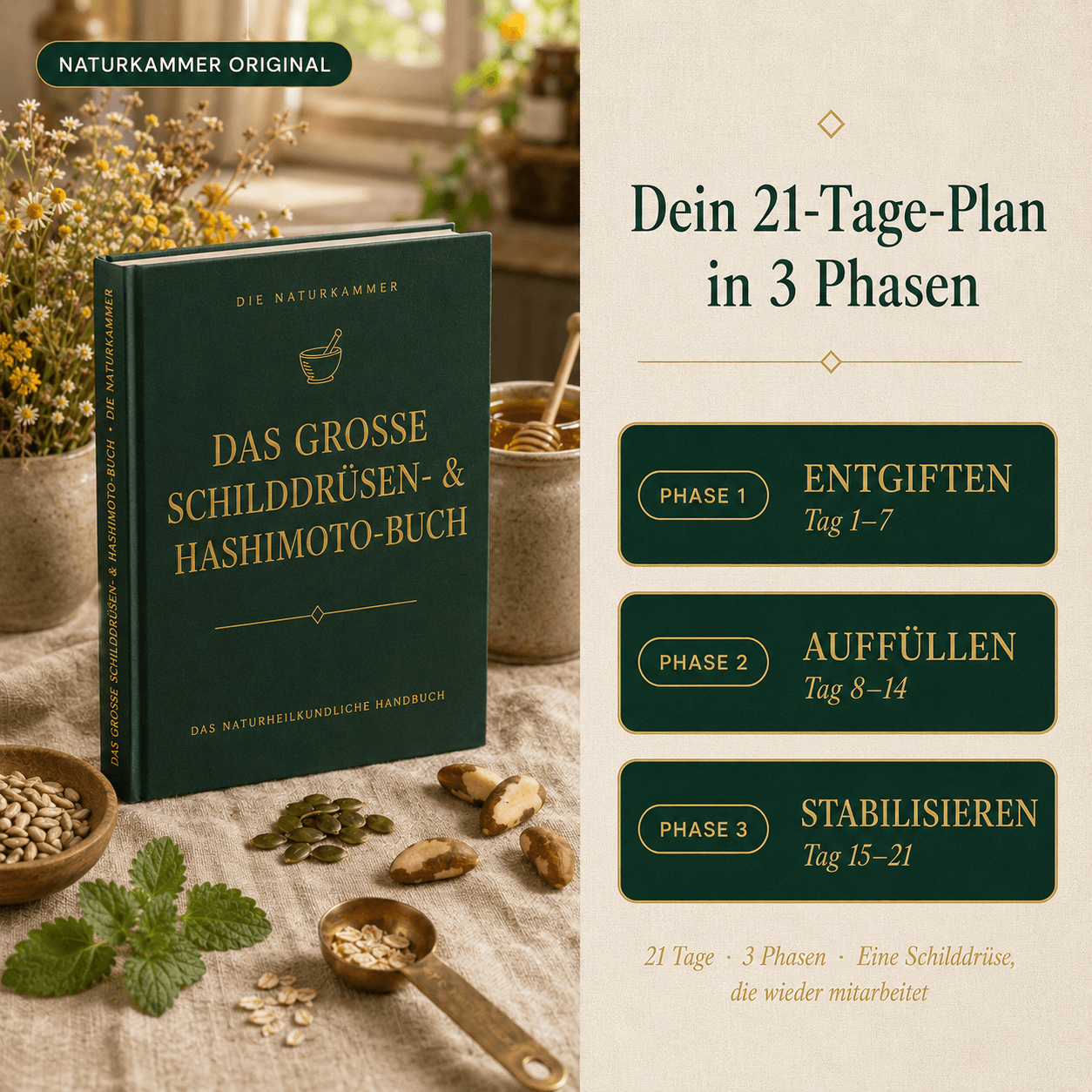 Das große Schilddrüsen- & Hashimoto-Buch