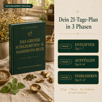 Das große Schilddrüsen- & Hashimoto-Buch