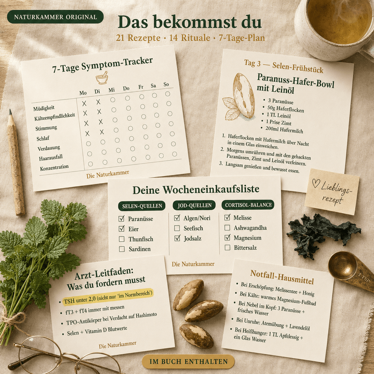 7-Tage Schilddrüsen-Reset Protokoll