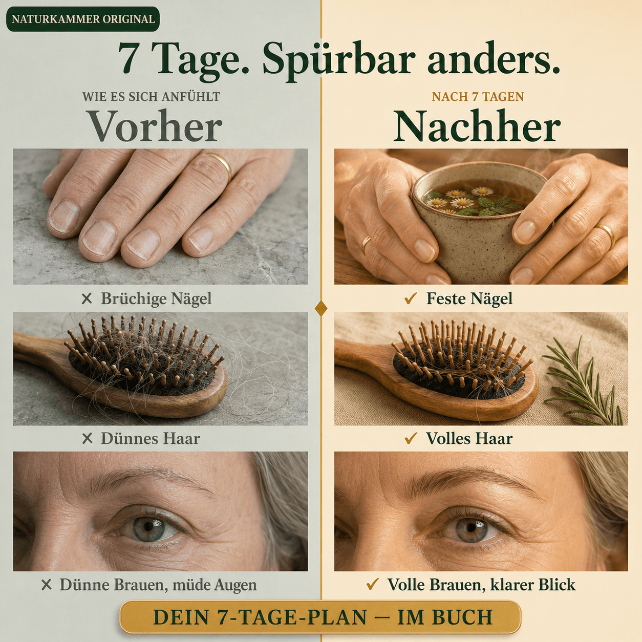 7-Tage Schilddrüsen-Reset Protokoll